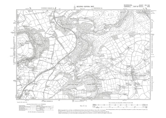 Buckland Monachorum, Old Map Devon 1907: 111NE