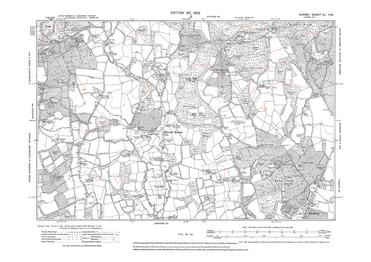 Forest Green, Ockley old map Surrey 1920: 40NW