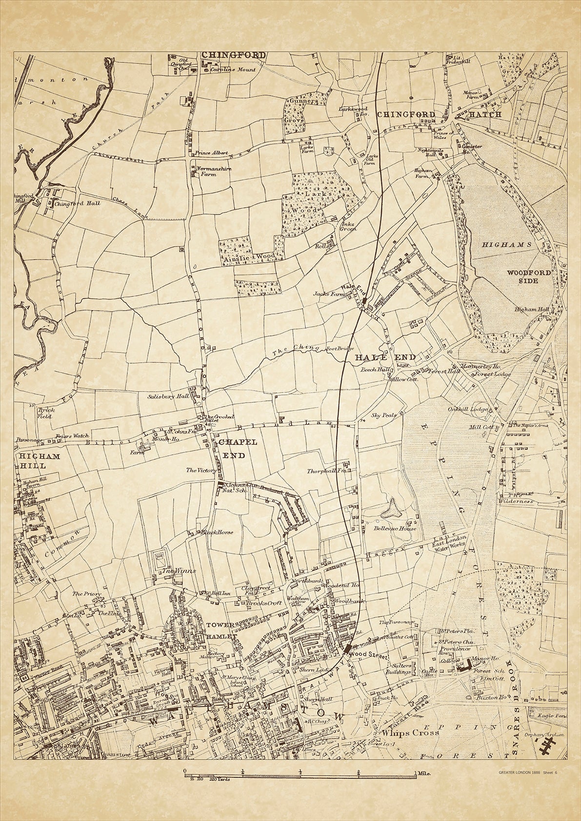 Greater London in 1888 Series - showing Chingford Hatch, Walthamstow (north), Hale End, Chapel End, Tower Hamlet, Whips Cross - sheet 6