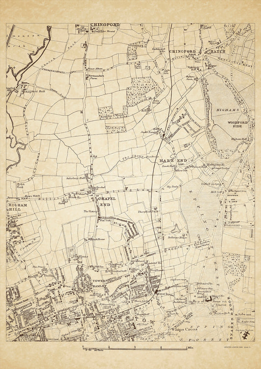 Greater London in 1888 Series - showing Chingford Hatch, Walthamstow (north), Hale End, Chapel End, Tower Hamlet, Whips Cross - sheet 6
